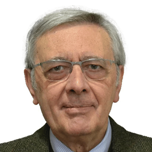 Stefano Bolognini